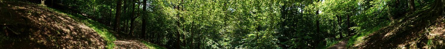 Panorama of the Hermitage of Braid Woods, Edinburgh